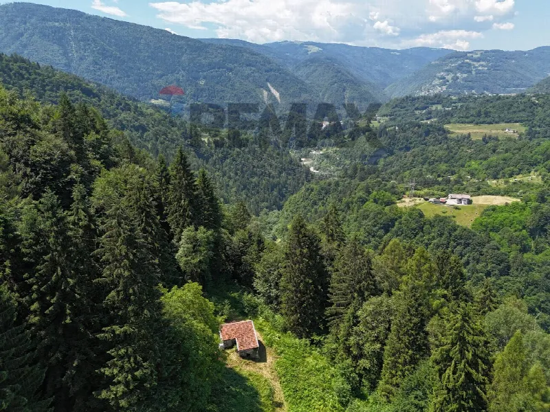 Rustico/Casale in vendita a Sovramonte - foto 6