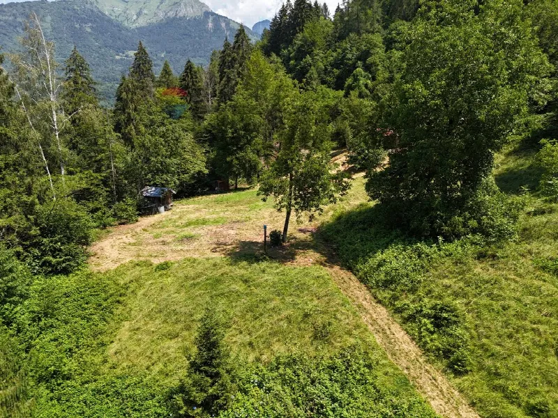 Rustico/Casale in vendita a Sovramonte - foto 7