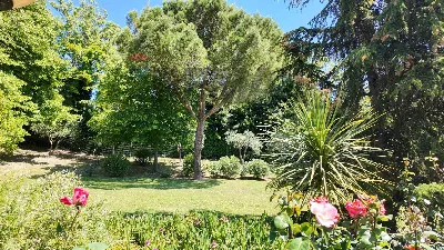 Villa in vendita a Ancona, Aspio, candia - foto 4