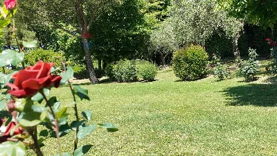Villa in vendita a Ancona, Aspio, candia - foto 5