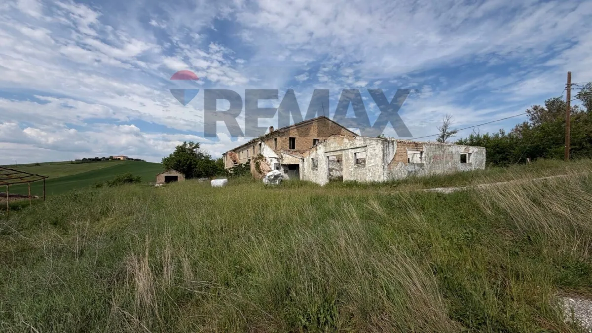 Rustico/Casale in vendita a Belvedere Ostrense - foto 4