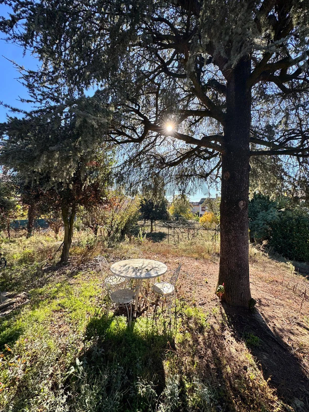 Villa in vendita a Inverno e Monteleone - foto 2