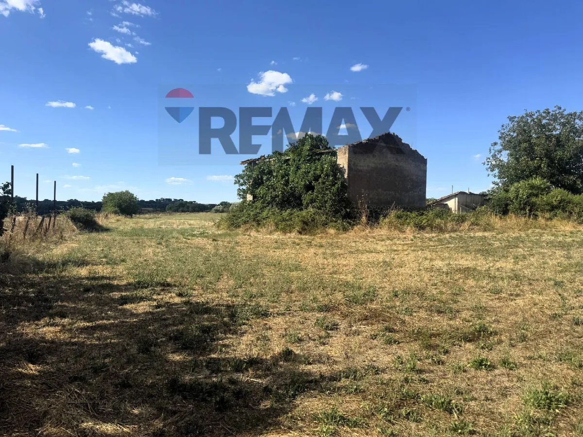 Villa in vendita a Mazzano Romano - foto 5