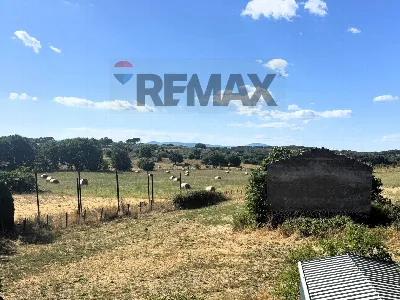 Villa in vendita a Mazzano Romano - foto 8