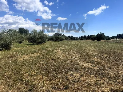 Villa in vendita a Mazzano Romano - foto 9