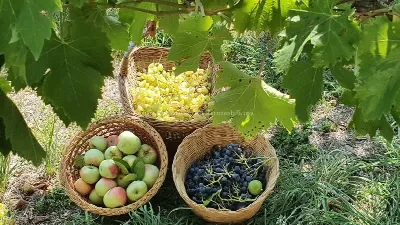 Casa Indipendente in vendita a Civitella C... - foto 10