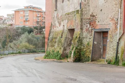 Rustico/Casale in vendita a Montalto di Ca... - foto 3