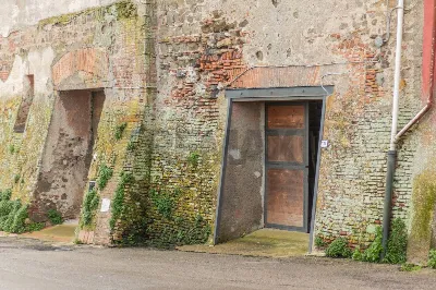 Rustico/Casale in vendita a Montalto di Ca... - foto 8