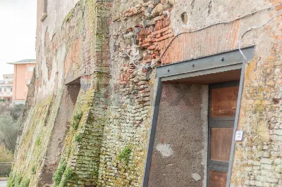 Rustico/Casale in vendita a Montalto di Ca... - foto 9