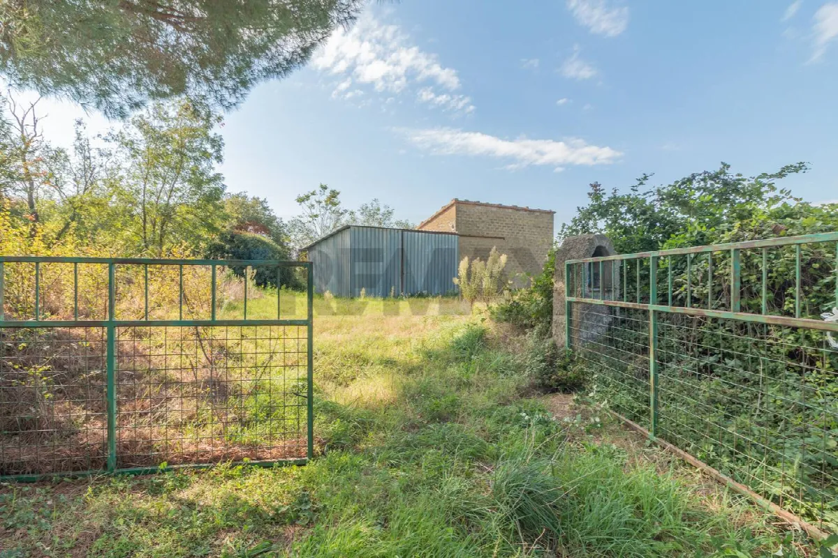 Rustico/Casale in vendita a Ischia di Castro - foto 3