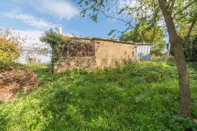 Rustico/Casale in vendita a Ischia di Cast... - foto 4