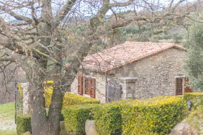 Villa in vendita a Semproniano - foto 6