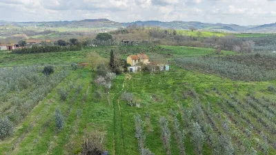Rustico/Casale in vendita a Capalbio - foto 4