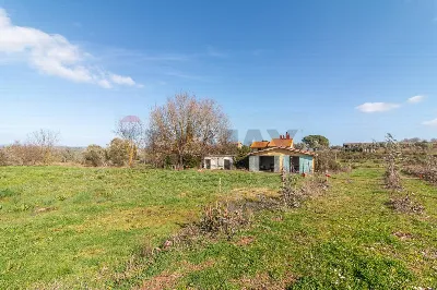 Rustico/Casale in vendita a Capalbio - foto 6