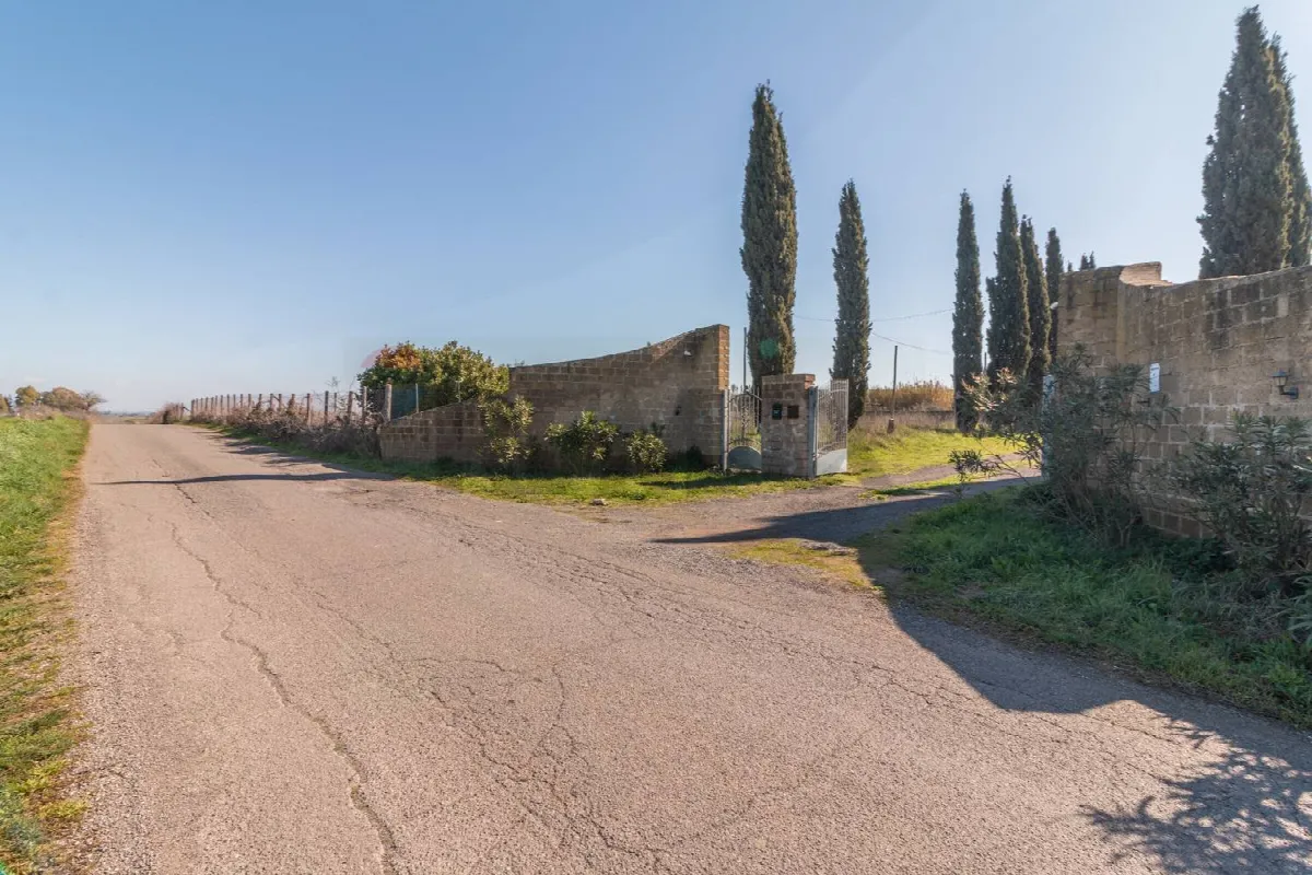 Villa in vendita a Montalto di Castro - foto 3