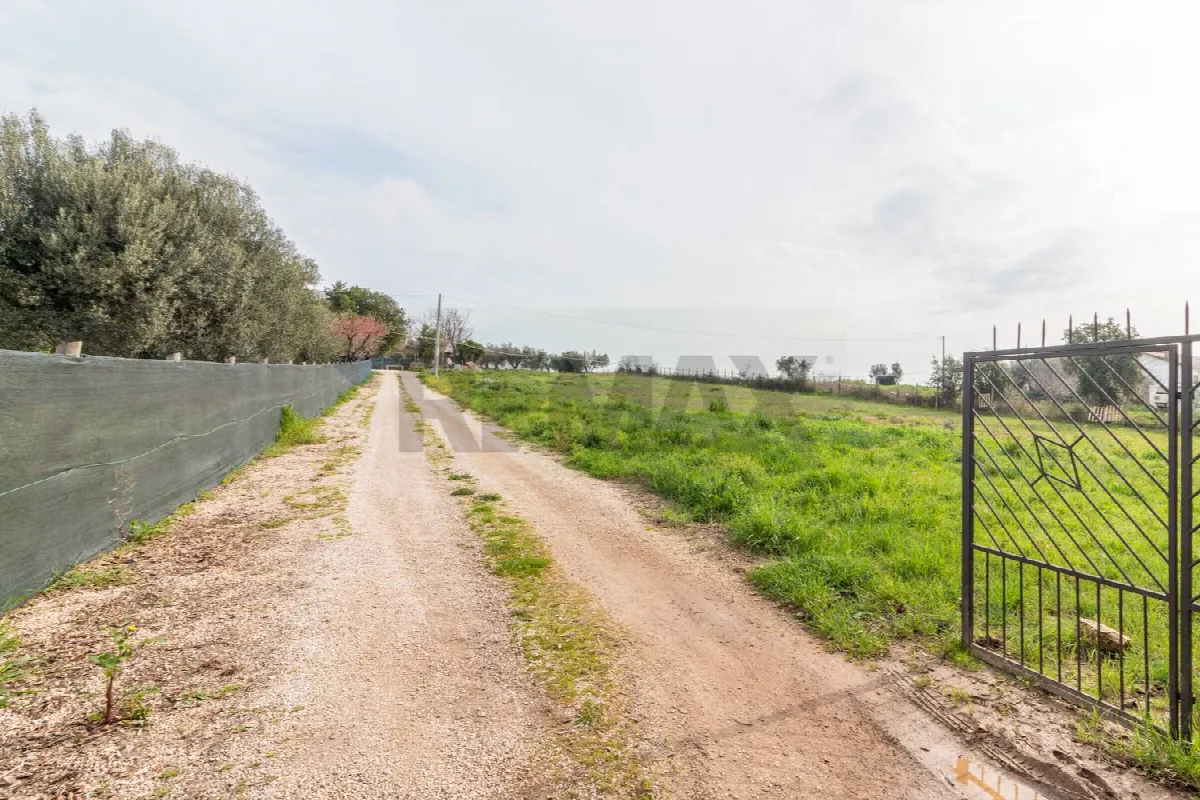 Casa Indipendente in vendita a Montalto di Castro - foto 3
