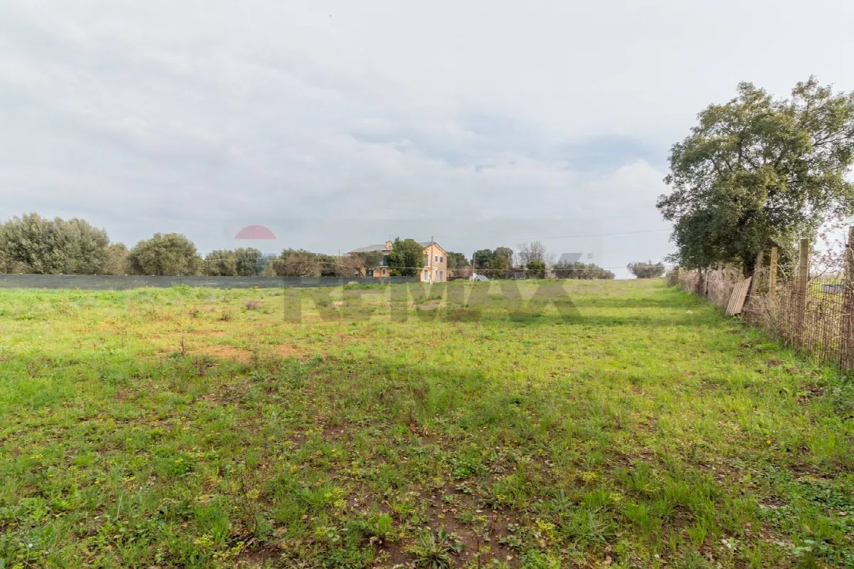 Casa Indipendente in vendita a Montalto di Castro - foto 4