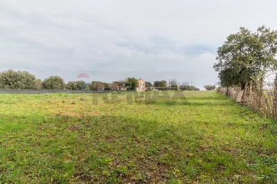 Casa Indipendente in vendita a Montalto di... - foto 4