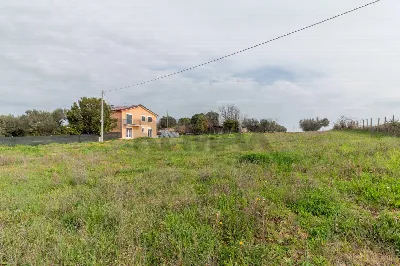 Casa Indipendente in vendita a Montalto di... - foto 6