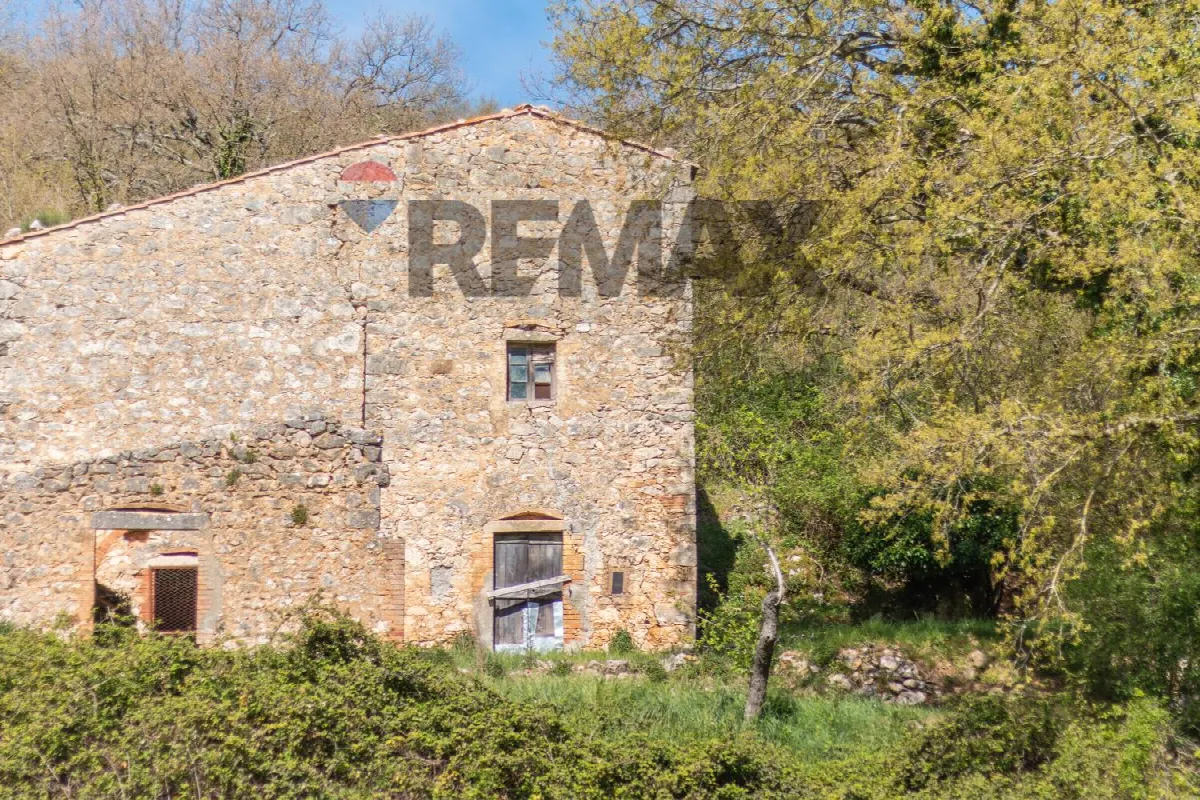 Rustico/Casale in vendita a Semproniano - foto 3