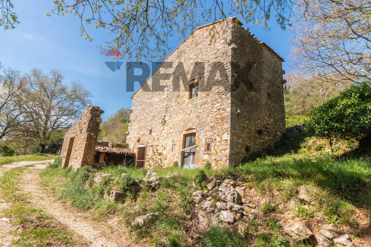 Rustico/Casale in vendita a Semproniano - foto 4