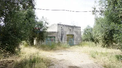 Rustico/Casale in vendita a Vieste - foto 2