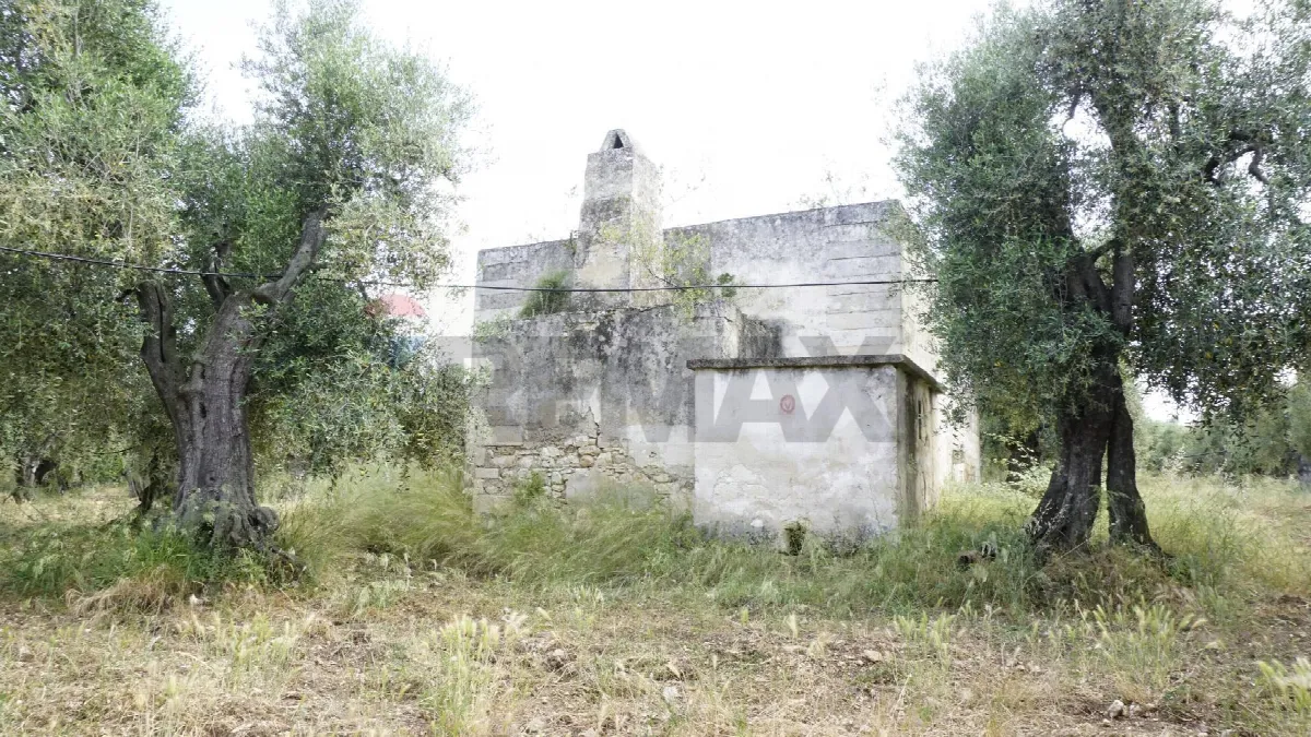 Rustico/Casale in vendita a Vieste - foto 3