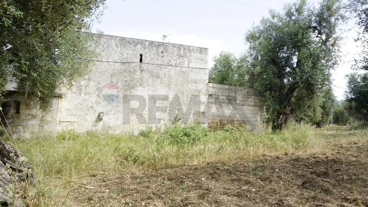 Rustico/Casale in vendita a Vieste - foto 4