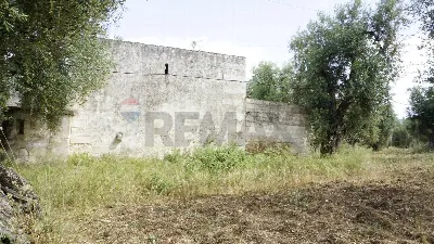 Rustico/Casale in vendita a Vieste - foto 4