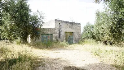 Rustico/Casale in vendita a Vieste - foto 6