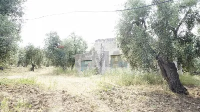 Rustico/Casale in vendita a Vieste - foto 9