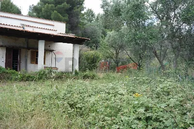 Villa in vendita a Vieste - foto 5