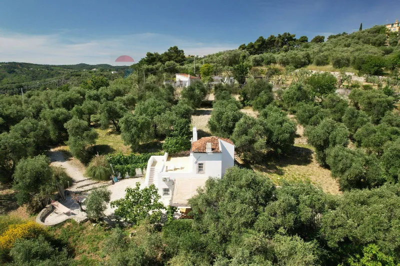 Villa in vendita a Vico del Gargano - foto 1