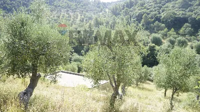 Villa in vendita a Vieste - foto 2