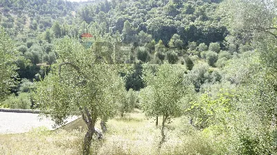 Villa in vendita a Vieste - foto 3