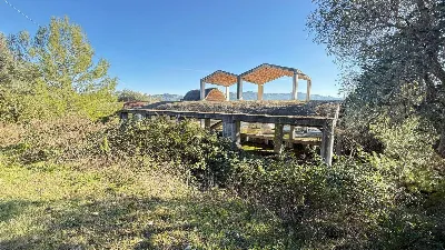 Rustico/Casale in vendita a Peschici - foto 7