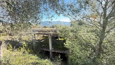 Rustico/Casale in vendita a Peschici - foto 9