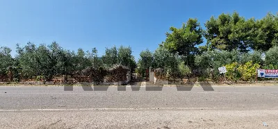 Villa in vendita a Vieste - foto 10