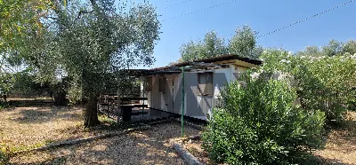 Villa in vendita a Vieste - foto 3