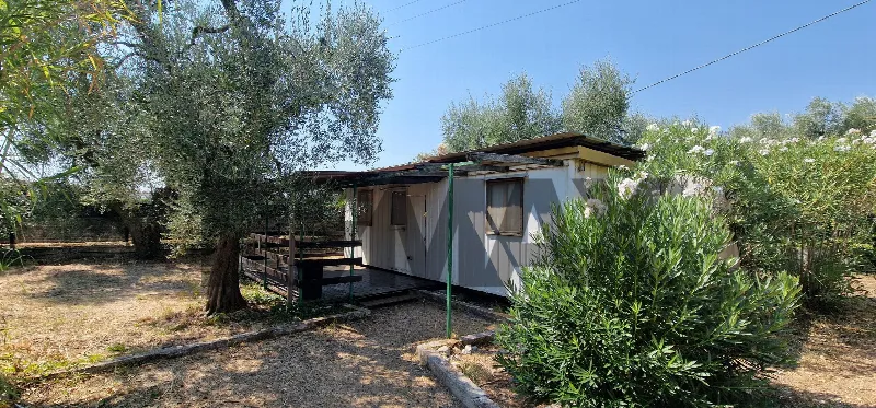 Villa in vendita a Vieste - foto 3