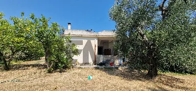 Villa in vendita a Vieste - foto 4