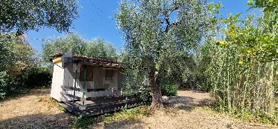 Villa in vendita a Vieste - foto 5