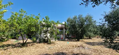 Villa in vendita a Vieste - foto 6