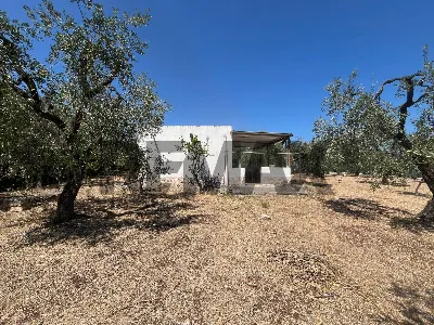 Villa in vendita a Vieste - foto 5