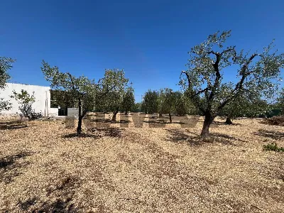 Villa in vendita a Vieste - foto 6