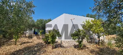 Villa in vendita a Vieste - foto 9