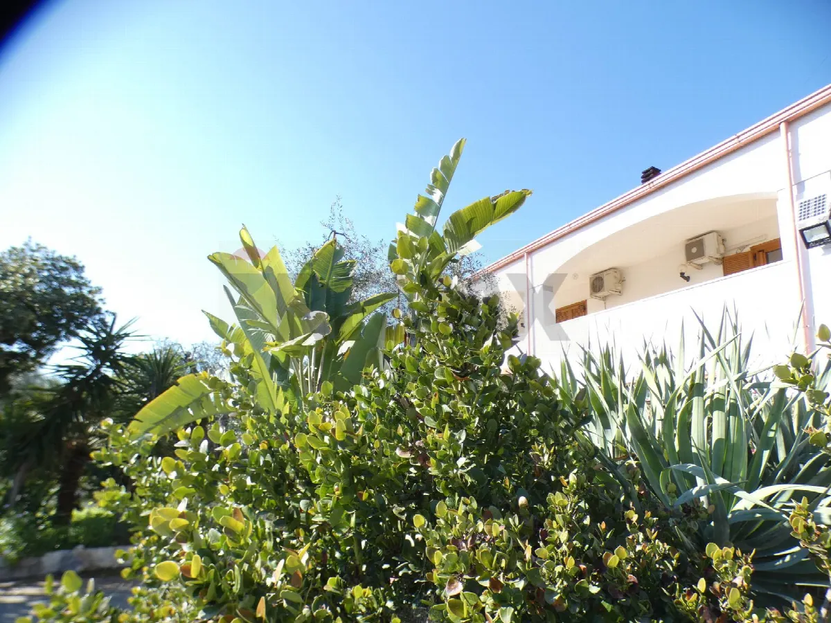 Casa Indipendente in vendita a Vieste - foto 5