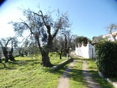 Casa Indipendente in vendita a Vieste - foto 8