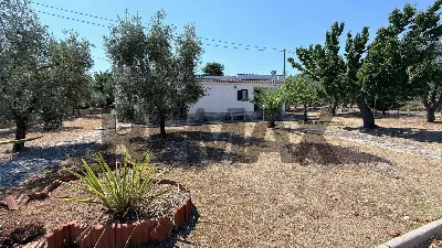 Villa in vendita a Vieste - foto 4
