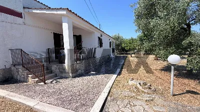 Villa in vendita a Vieste - foto 6